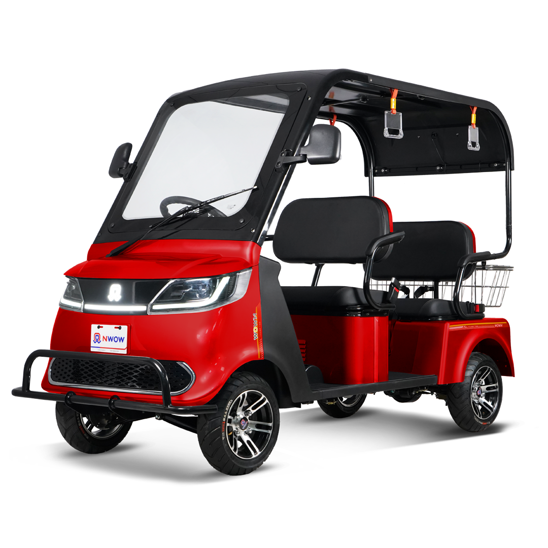 Nwow Dcy Nwow Service Center Electric Bicycle, E-Trike, Ebike In